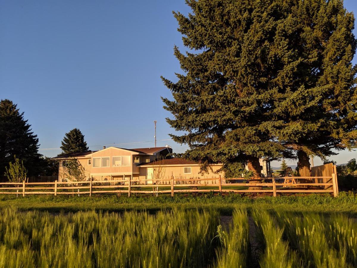 Epic Sunsets In Bozeman - Wonderful View Villa Exterior foto